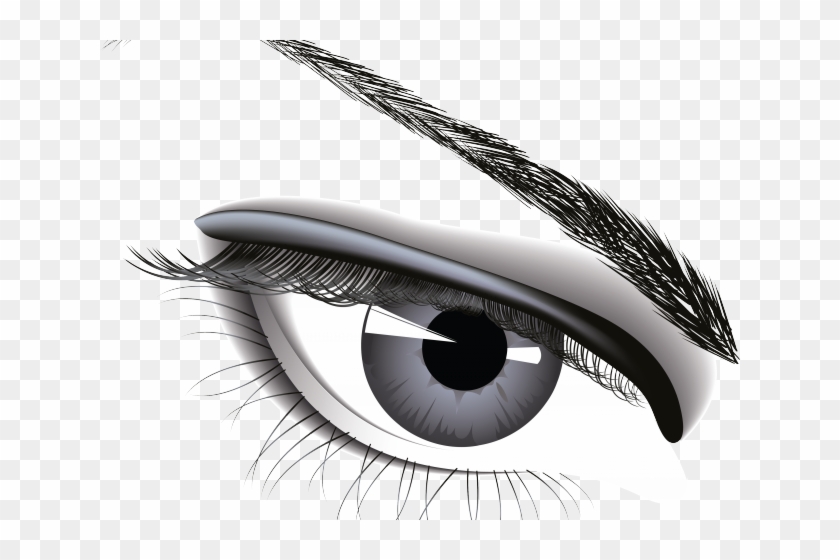 Eyeball Clipart Png Realistic - Eyebrows Free Vector Png Transparent Png