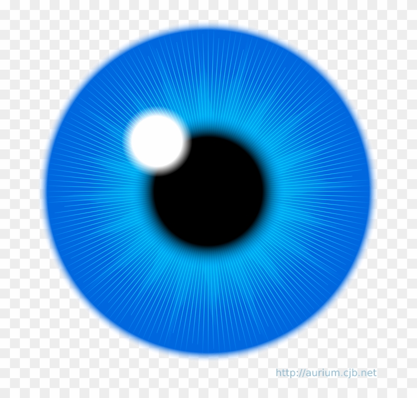 Blue Eyes Clipart Human Eye - Eye Iris Clipart - Png Download #501128