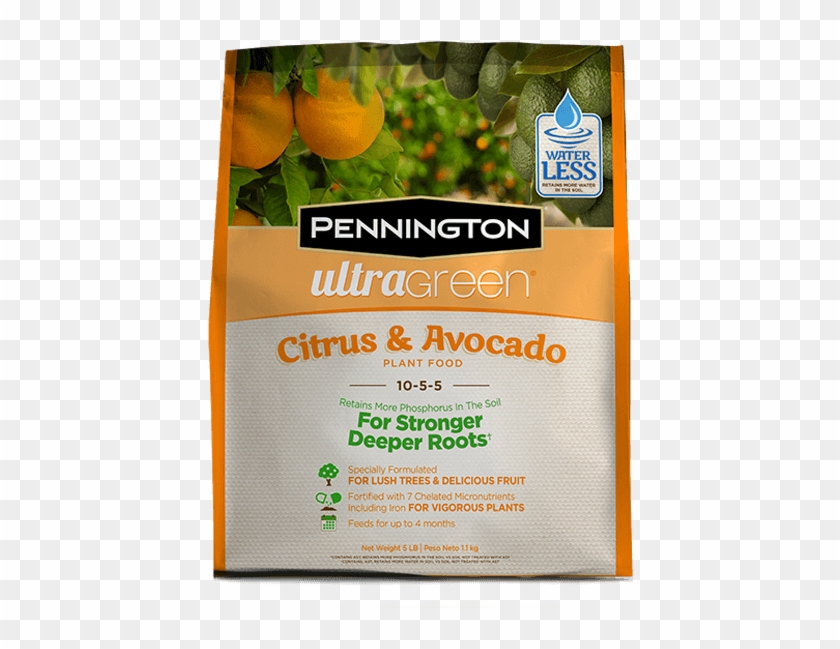 Variant - Mandarin Orange Clipart #501177