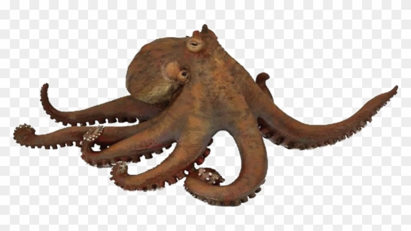 Octopus Png Transparent - Papo Octopus Clipart