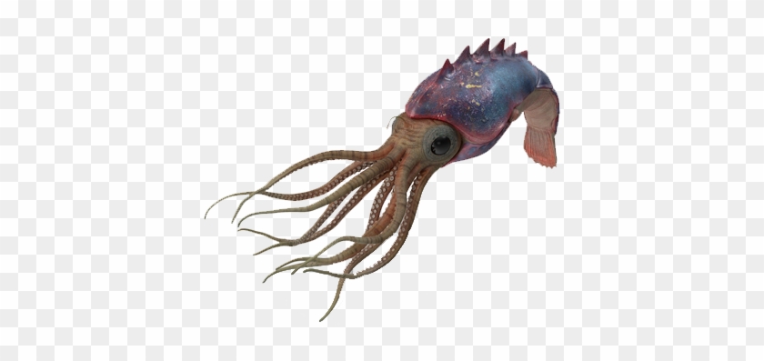 Cephalopods Png Clipart #501903