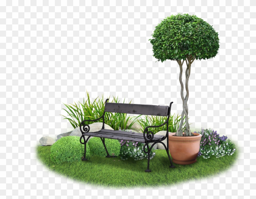 Png Images Of Garden - Tree Clipart