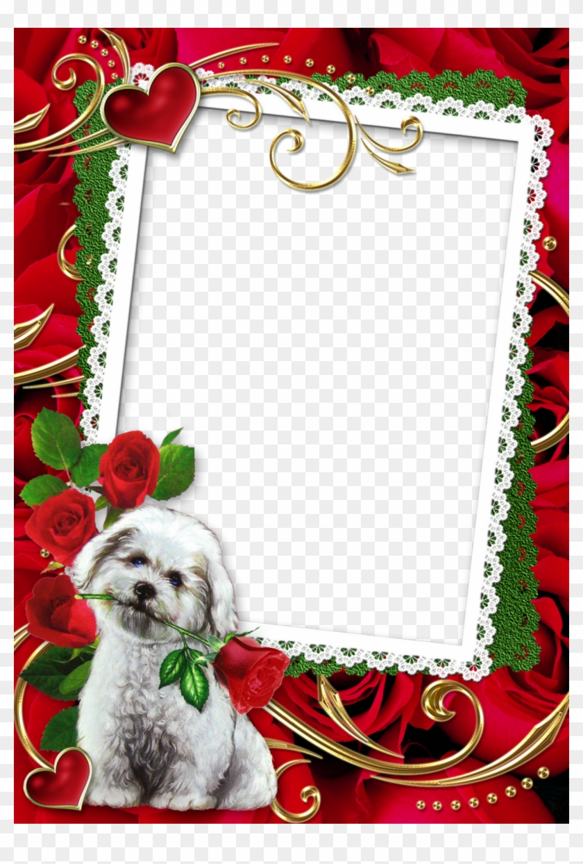 Lace Border Picture Frame With Cute Puppy And Roses - Red Wedding Frames Png Clipart