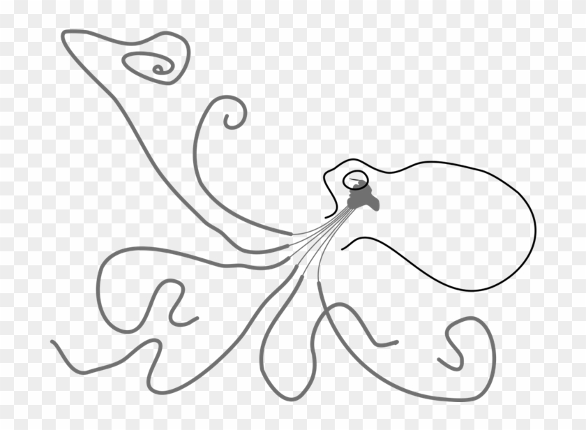 Octopus Nervous System - Line Art Clipart