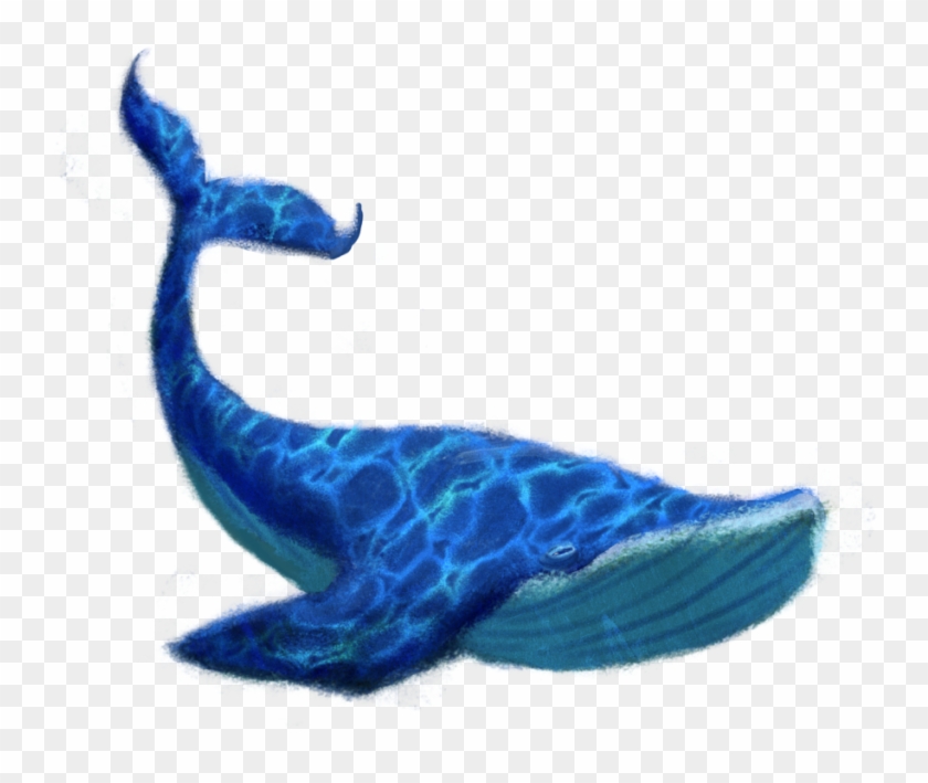 Blue Whale Png Transparent Image - Bluewhale Png Clipart #502345