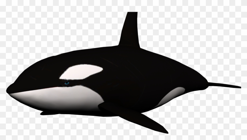 Whale Png - Transparent Background Whale Clipart
