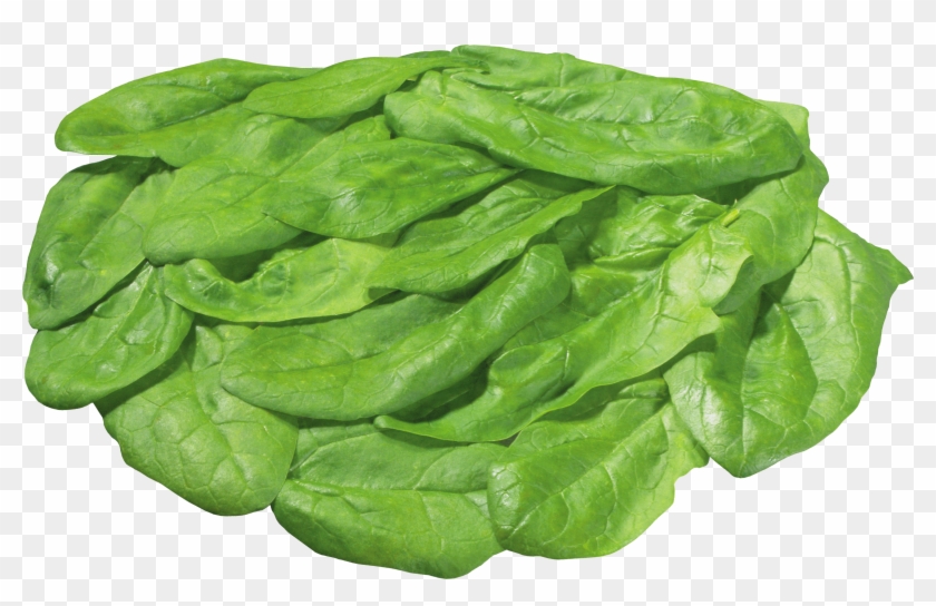 Salad - Piece Of Lettuce Transparent Clipart #502583