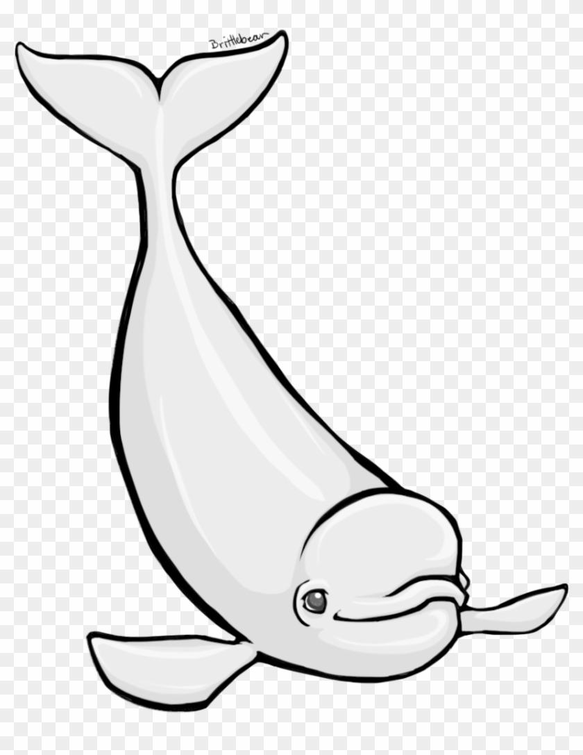 Computer Beluga - Beluga Whale Clipart - Png Download