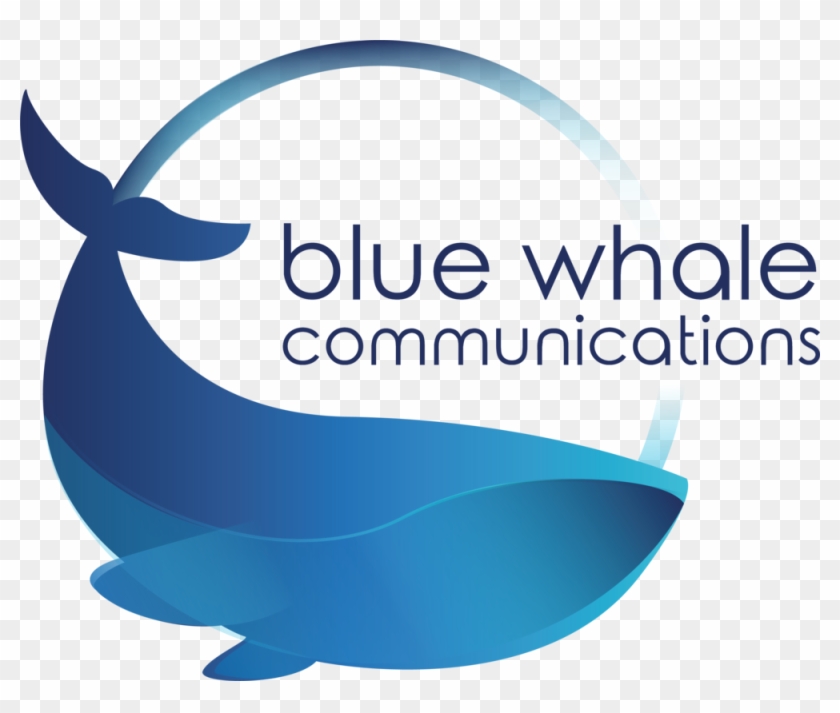 Blue Whale Png Clipart #502783