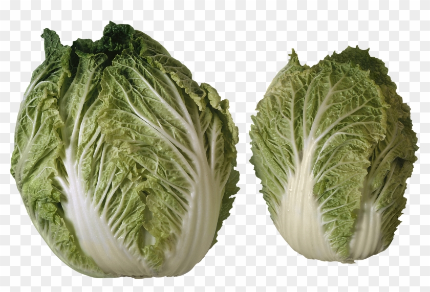 2 Heads Of Lettuce Clipart #503387