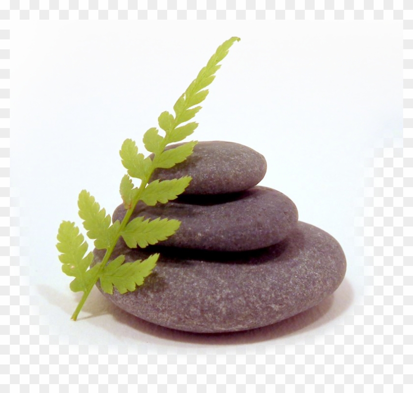 Zen Garden - Zen Garden Png Clipart #503480