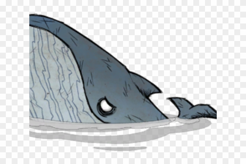 Cartoon Whale Png - Killer Whale Clipart #503504