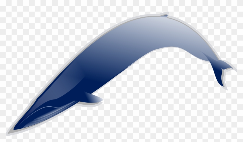 Whale Png Clipart #503729