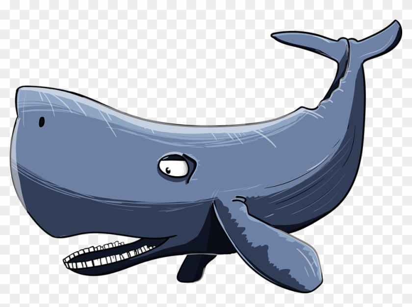 Whale Cartoon Clipart #503759