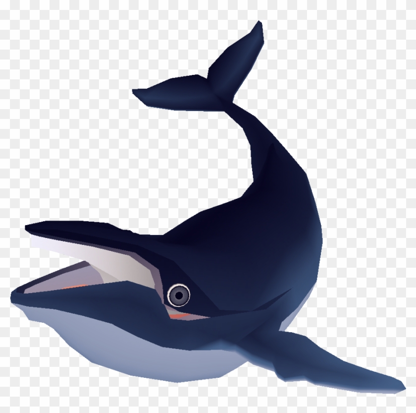 Add Media Report Rss Whale 6 - Killer Whale Clipart #503828