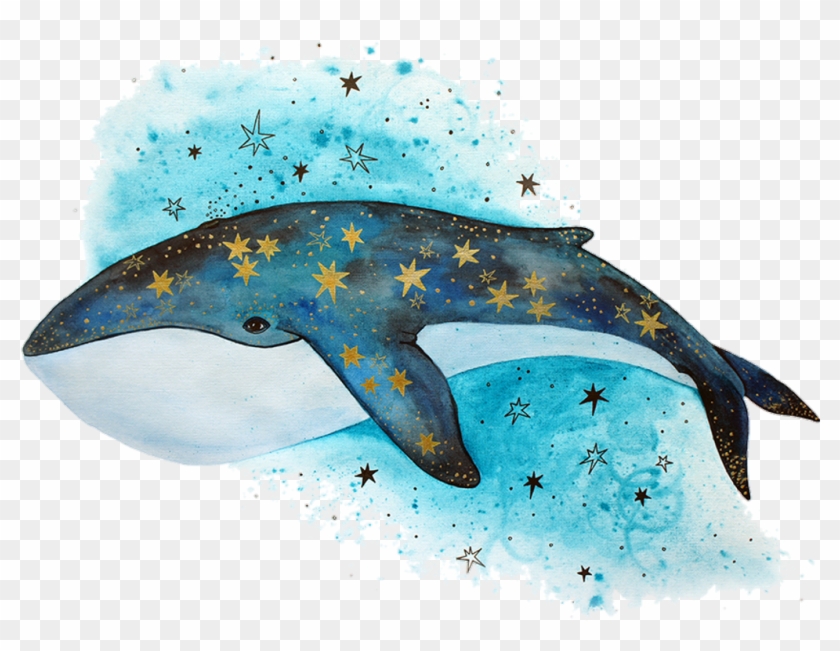Tumblr Sticker - Кит Рисунок Clipart