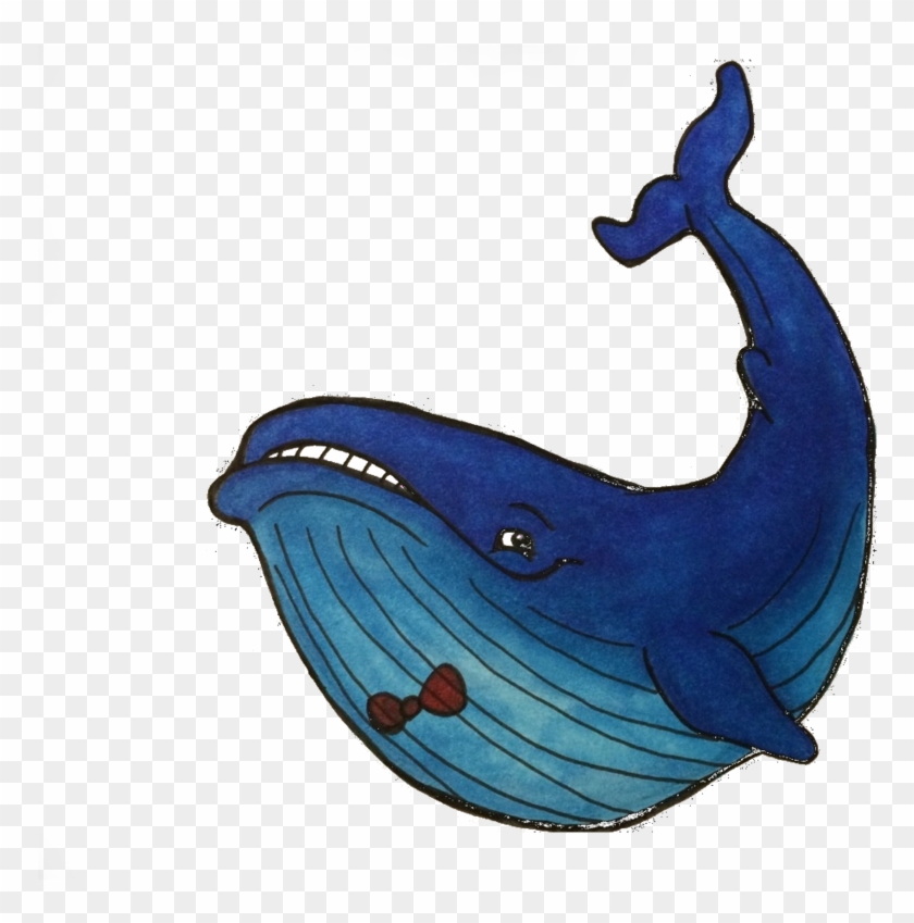 Derpy Whales Png Clipart #504145