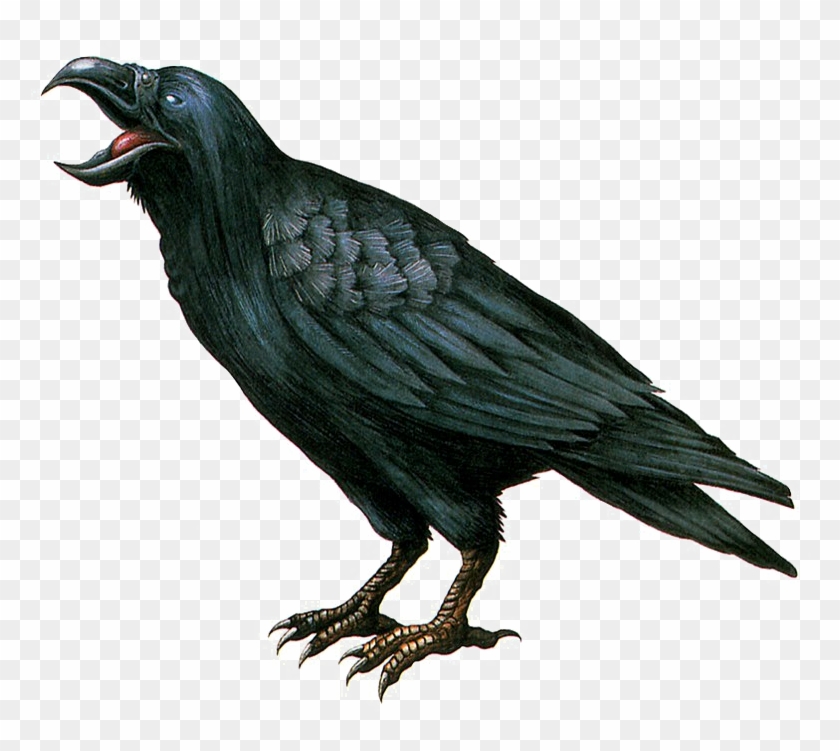 Crow Transparent Background Png - Resident Evil Remake Crow Clipart #504706