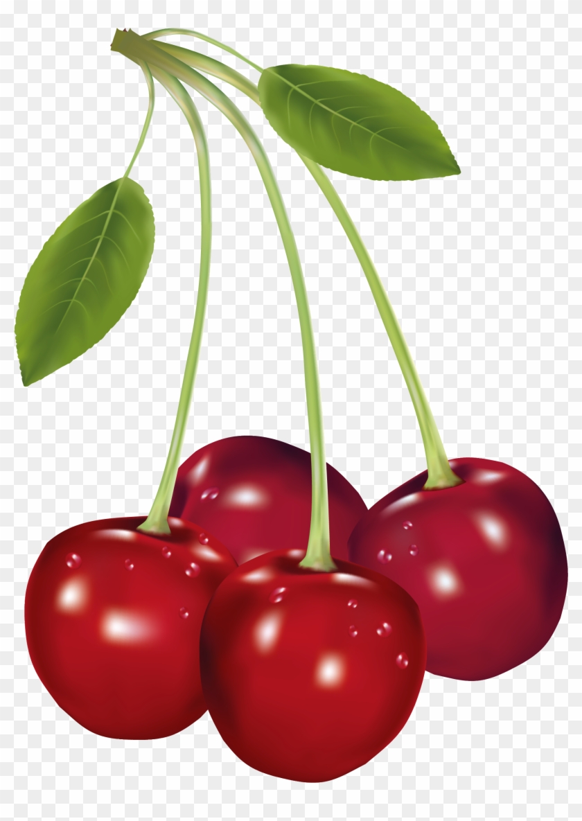 Cherry Fruit Clipart - Png Download #504866
