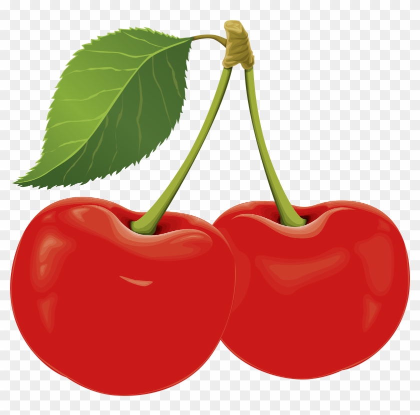 Sour Cherry Png Clip Art Transparent Png #505297