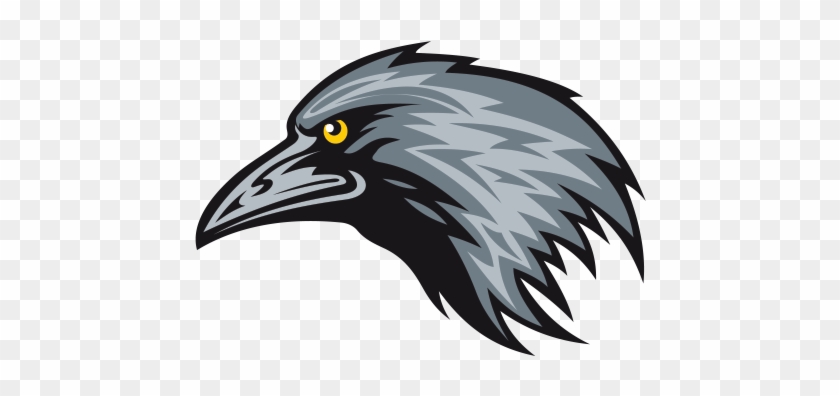 600 X 600 10 - Raven Mascot Clipart