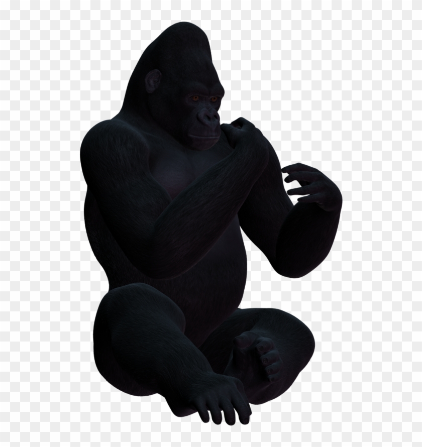 Gorilla Png Clipart #505556