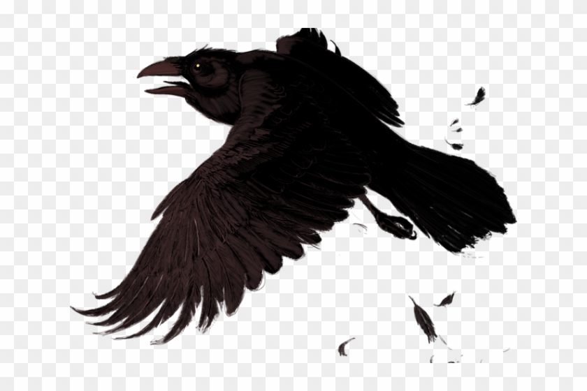 Raven Png Clipart #505663