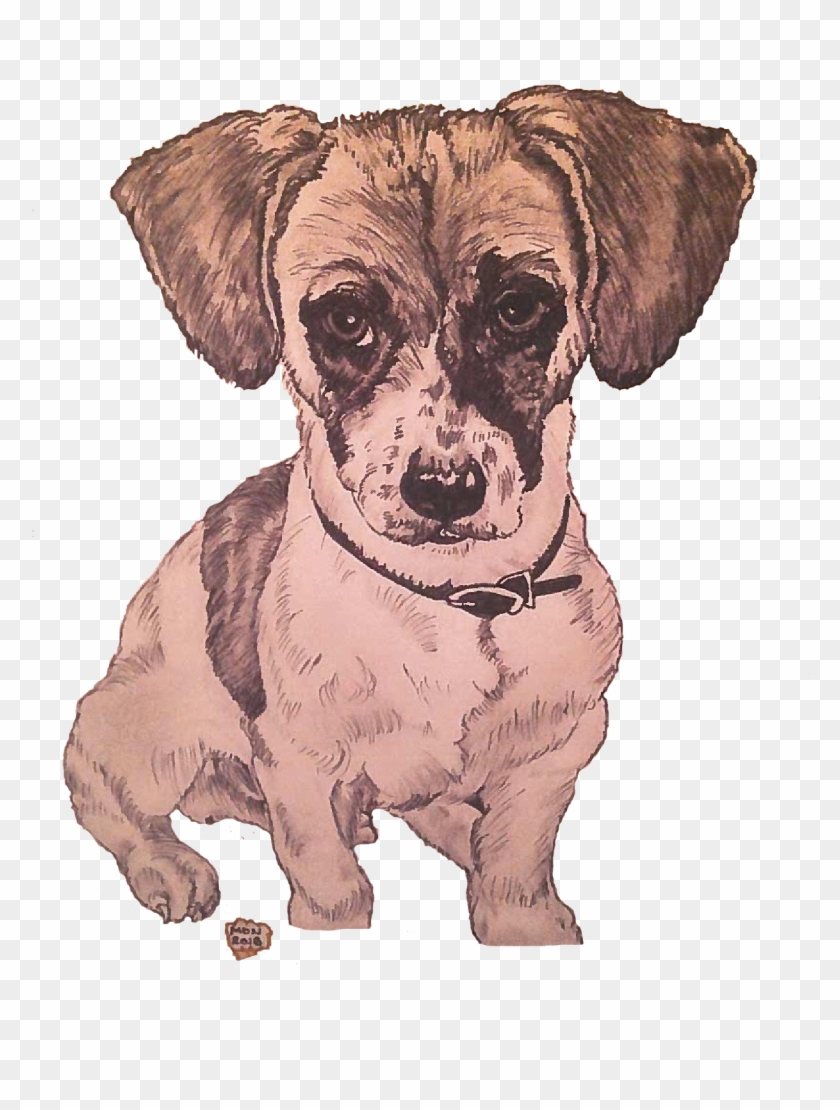 Raider The Puppy - Dachshund Clipart #505734