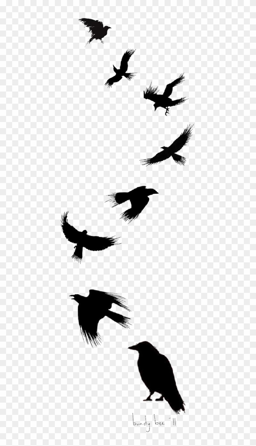 Crow Fly Vector Art, Icons, and Graphics for Free Download