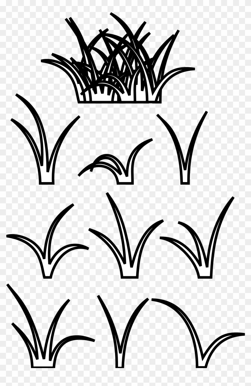 Grass Clip Art Black And White Clipart Download - Patch Of Grass Drawing - Png Download #506195