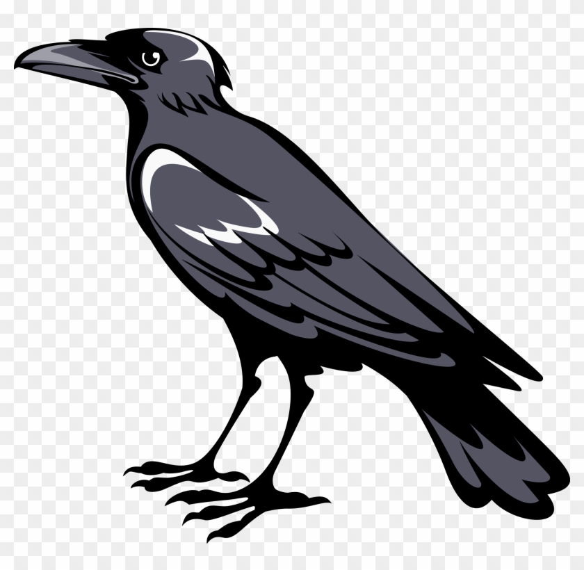 3000 X 2786 4 - Coat Of Arms Crow Clipart #506220