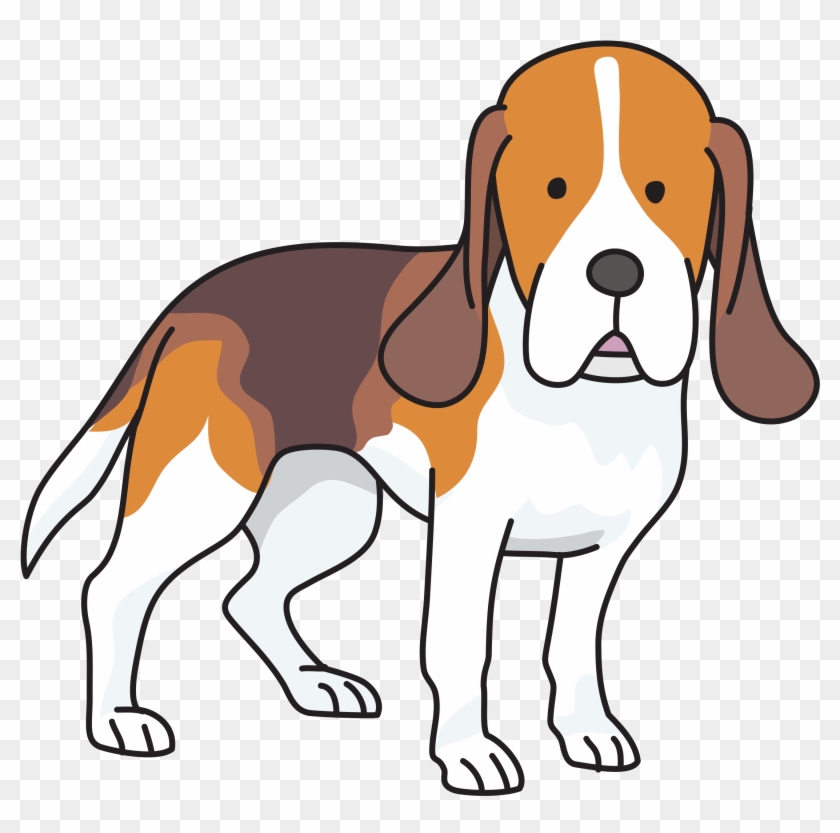 Beagle Golden Retriever Labrador Retriever Puppy Drawing - Beagle Clipart Png Transparent Png #506463