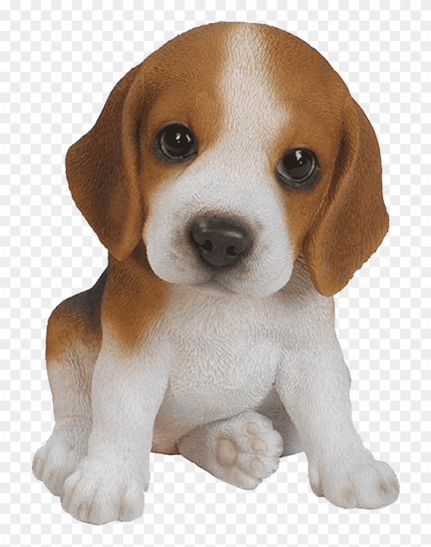 Puppy Png Clipart