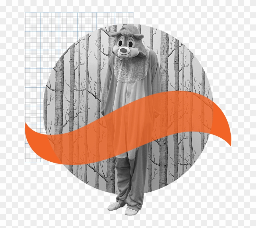 About Squirrel - Illustration Clipart #508293