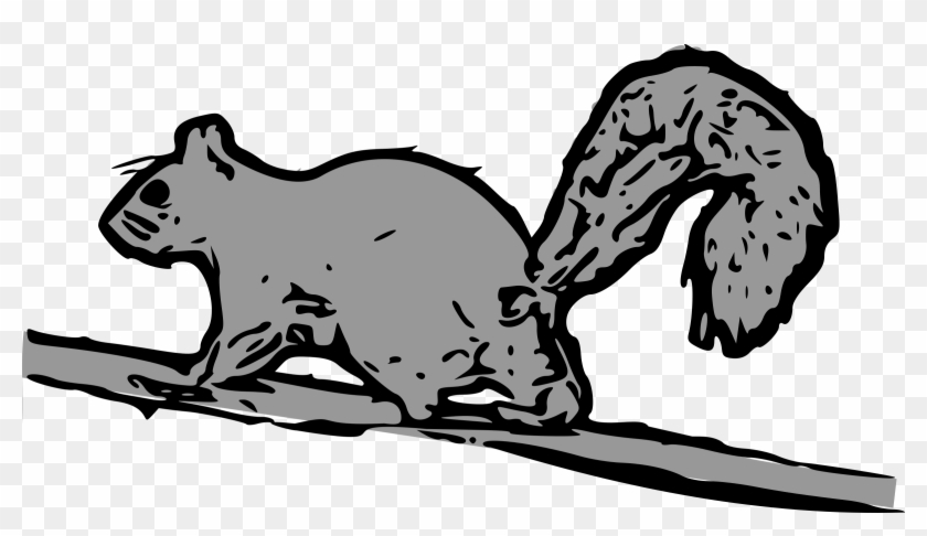 Squirrel Png Clipart