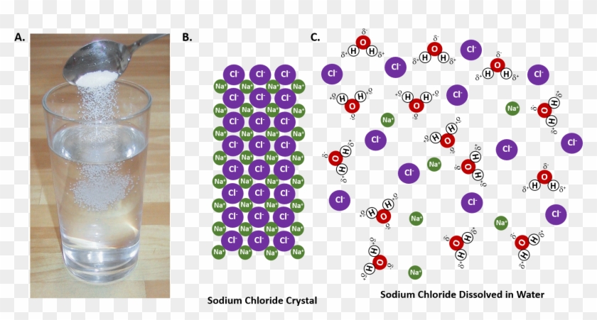 When An Ionic Salt, Such As Sodium Chloride, Shown - Diagram That Illustrates What Happens At The Molecular Clipart #5000516