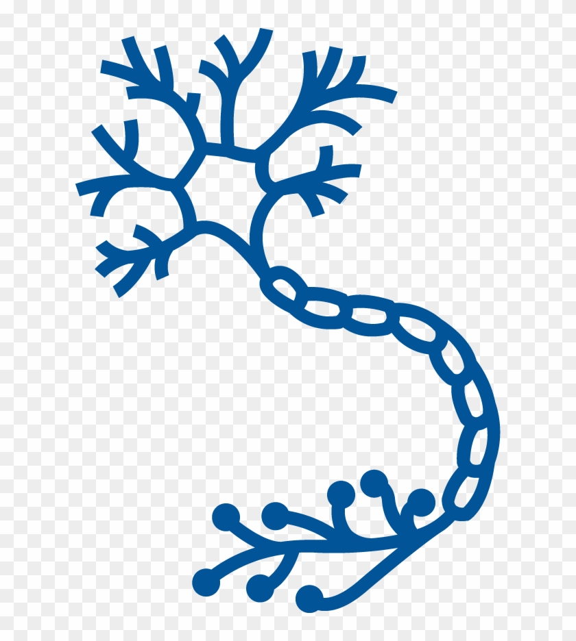 - Nerve Icon Clipart , Png Download - Nervous System Icon Png Transparent Png #5002184