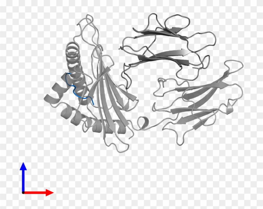 <div Class='caption-body'>pdb Entry 1agd Contains 1 - Illustration Clipart