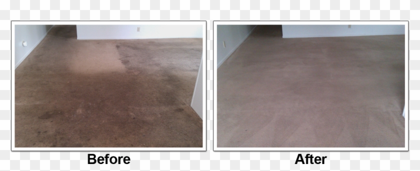 Before And After Carpet Cleaning By Oxi Fresh - Floor Clipart
