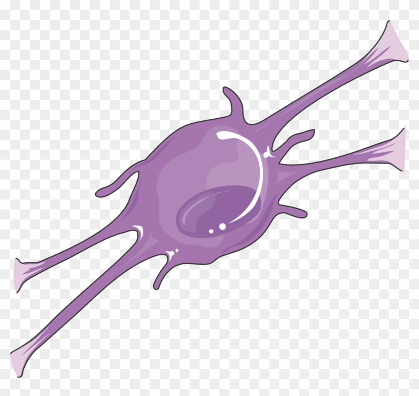 Oligodendrocyte - Oligodendrocyte Cell Clipart #5003436