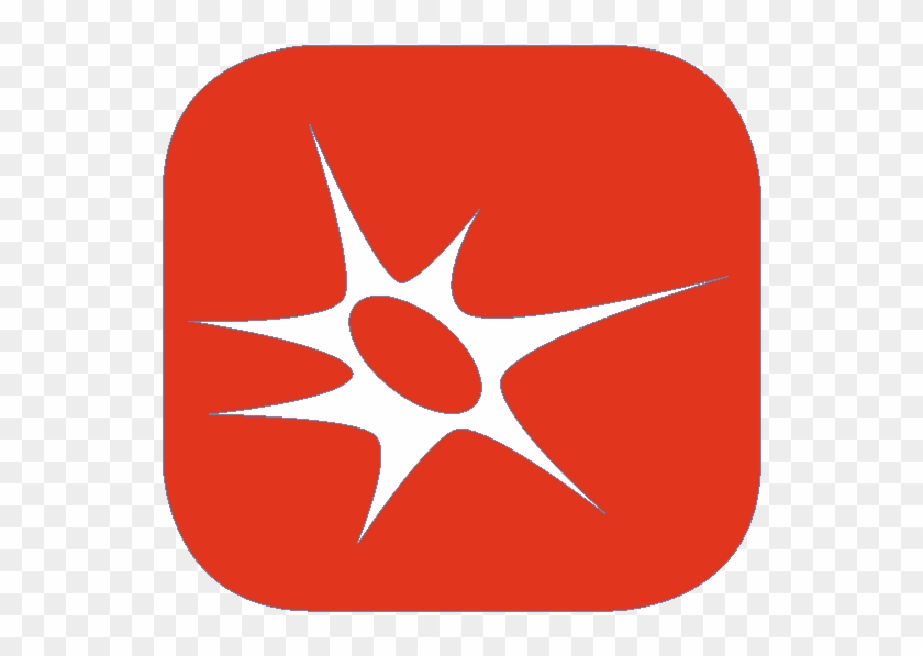 Peripherical Nerve System Neurosurgery Includes The - Circle Clipart #5003520