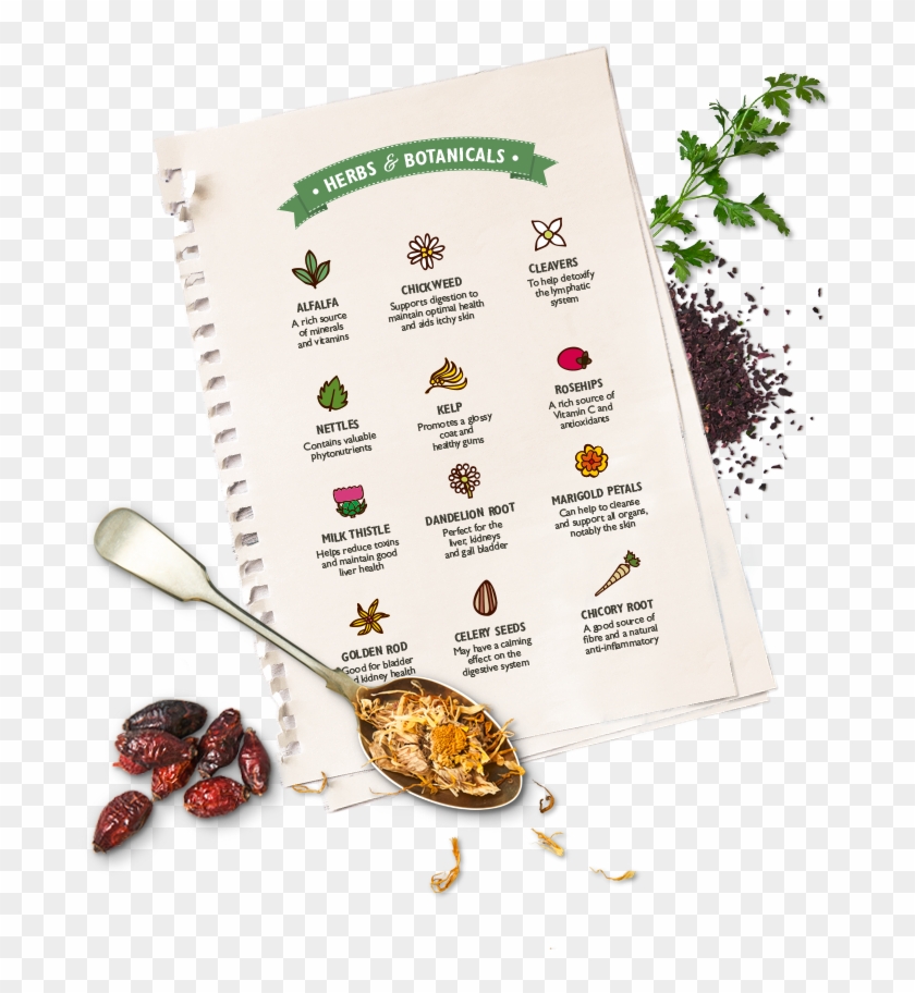 Complement Our Recipes - Flyer Clipart #5003689