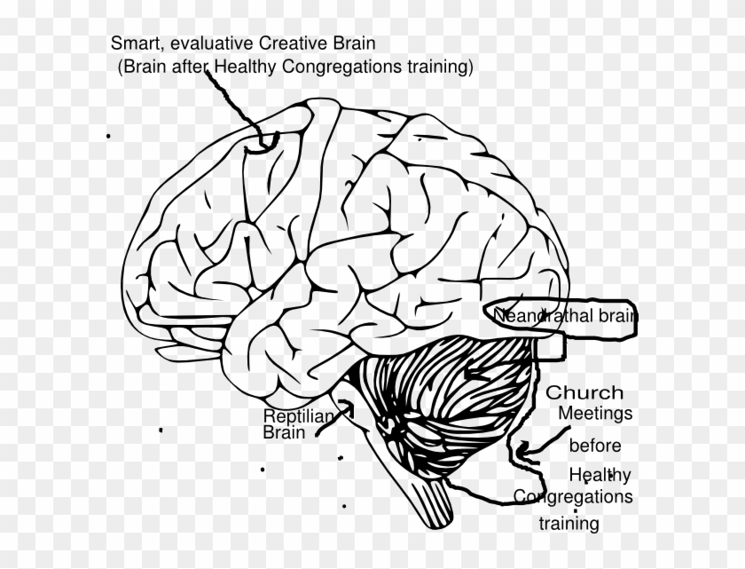 Brain Clip Art - Png Download