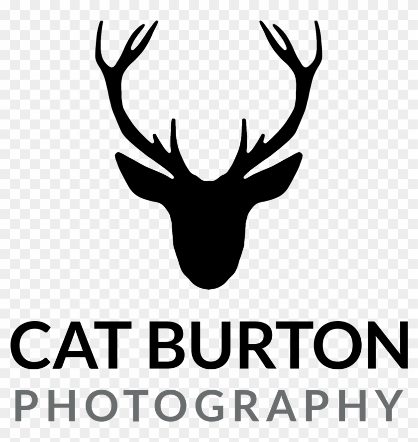 Cropped Logo Catburtonphotography - Antler Clipart #5004255