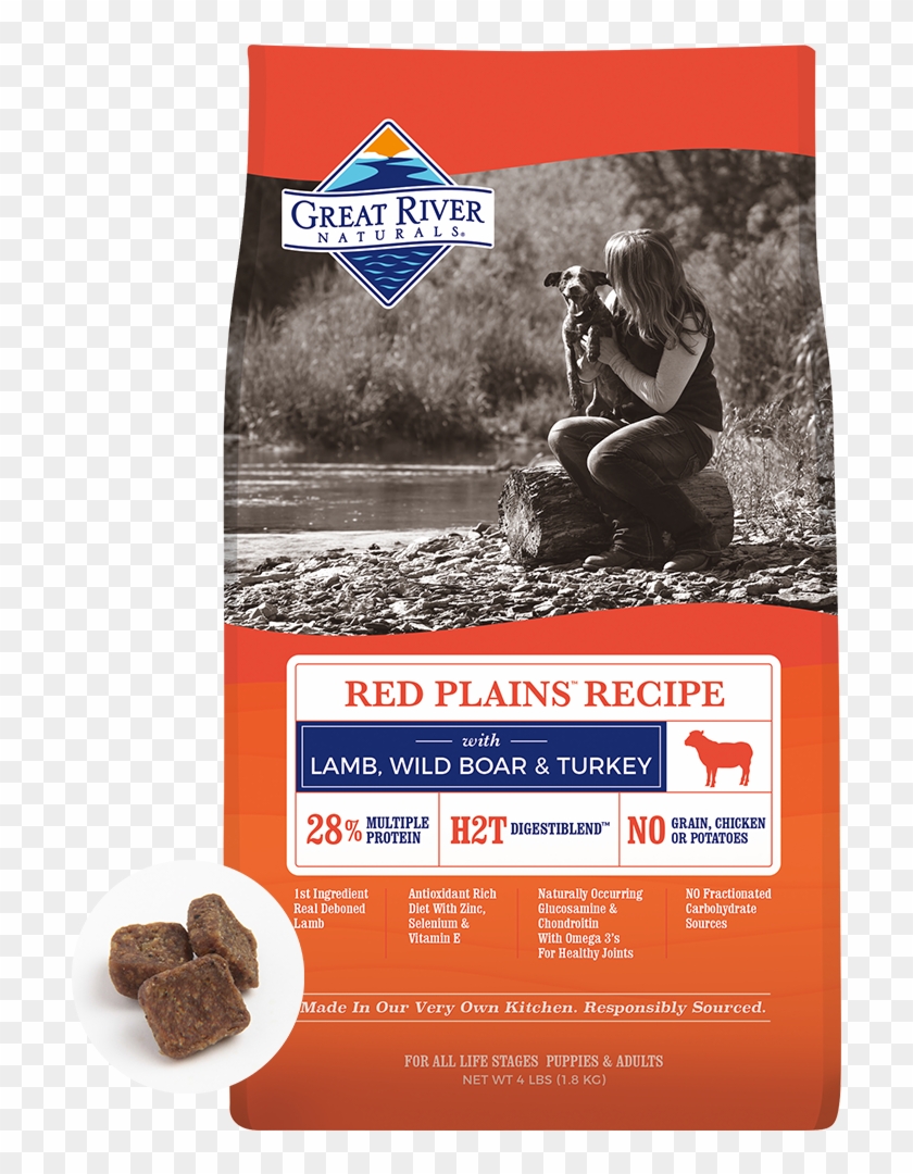 Chocolate Clipart