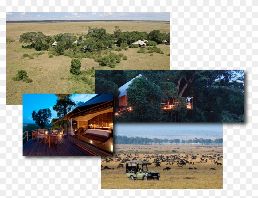 For Development Purposes Only Clipart