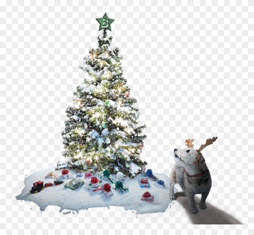 Christmas Tree And Max The Dog - Ensam Julgran Söker Klappar Quality Clipart
