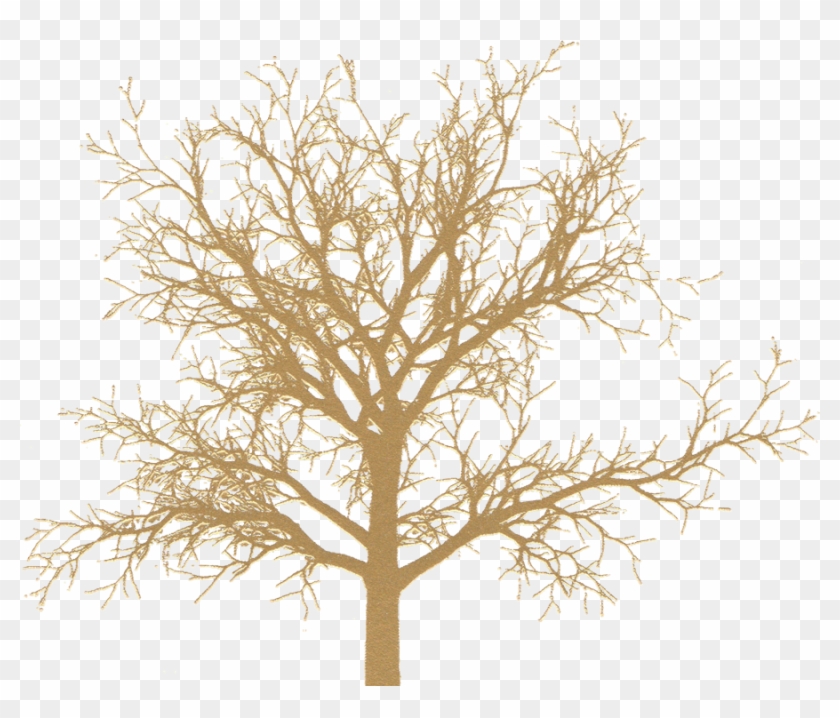 Grass Clipart