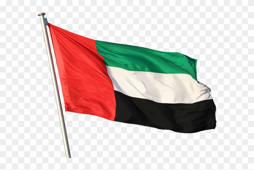 Uae-flag - Real Flag Png Clipart #5008564