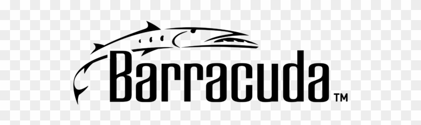 Barracuda Vector Clipart